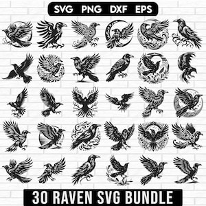 Pacote Raven svg, corvo svg, silhueta de corvo, corvo png, pássaro Svg, silhueta de corvo, corvo escuro Svg, clipart de corvo, clipart de corvo, Raven Head Svg
