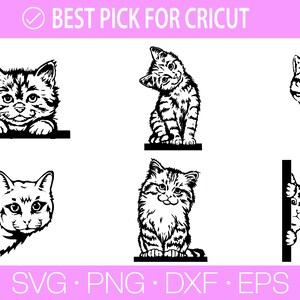 Kikande katt Svg, Katt SVG, Svart katt svg, Kikande katt clipart, Kikande katt SVG, Randiga kattungar Svg, Päls kattunge Svg, Katt clipart, Rolig katt bild 2