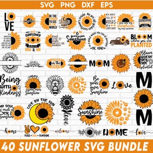Sunflower svg Bundle, Sunflower svg, Sunflower Quotes svg, Kindness SVG, Bee Svg, Sunflower svg, Sunflower Quotes png, Sunflower png Bundle