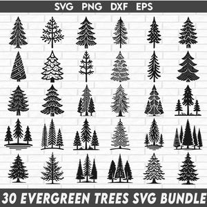 Bundle d'arbres à feuilles persistantes, pin arbre Silhouette SVG Bundle Pack, arbres à feuilles persistantes PNG, téléchargement numérique instantané, arbres Svg, clipart pin