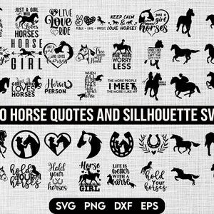Pferd SVG Bundle, Pferd SVG, Pferde SVG, Pferde SVG, Pferd Svg, Pferde Svg, Pferde Svg, Pferde Svg, Cricut Plotterdatei, Silhouette