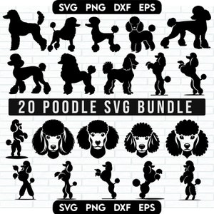 Paquete SVG de caniche, cara de caniche svg, silueta de caniche, perro caniche svg, imágenes prediseñadas de caniche, archivo de corte de caniche, caniche png