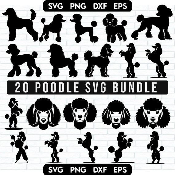 Poodle SVG Bundle, Poodle Face svg, Poodle Silhouette, poodle dog svg, Poodle Clipart, Poodle Cut File, Poodle png