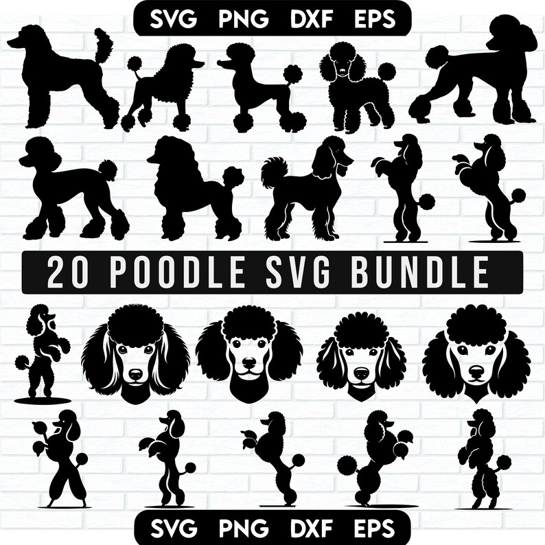 May include: A set of 20 black and white poodle silhouette SVG files. The poodles are in various poses, including standing, sitting, and running. The text "20 POODLE SVG BUNDLE" is at the top of the image.