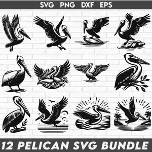 Pelikan SVG Bundle, Pelikan dxf, Pelikan png, Pelikan Vektor, Pelikan Clipart, Strand Seevogel, Pelikan Vogel svg, Wasservogel svg
