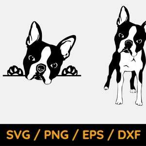 Boston Terrier Svg, Boston Terrier Face svg, Boston Terrier, Dog svg, Puppy svg, boston terrier art, Svg file for cricut, Sublimation Design