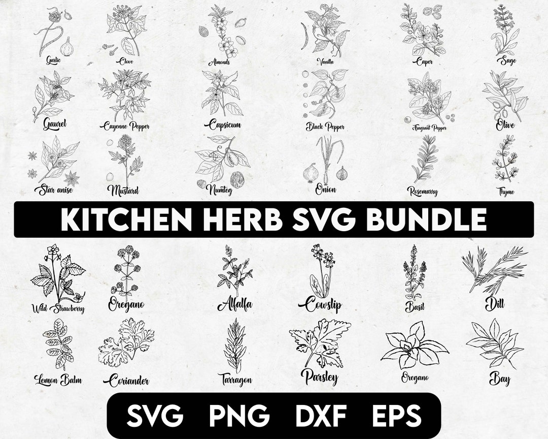 kitchen-herb-svg-bundle-kitchen-svg-herb-svg-farmhouse-svg-lavender