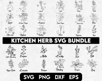 Zestaw ziół kuchennych SVG, kuchnia SVG, Herb SVG, Farmhouse SVG, lawenda SVG, liście SVG, cebula SVG, wydruki ziół,, dziki kwiat SVG, oliwkowy SVG