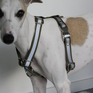 Harness model &quot;Soli&quot; Reflective - Custom waterproof BioThane Reflective dog harness adjustable - 2 buckles - 25mm
