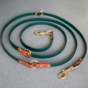May include: A green dog lead with brown leather accents and gold metal clasps. The lead is coiled and ready for use.