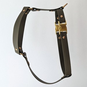 Harness model &quot;Jeremy&quot; - Custom waterproof BioThane dog harness - 2 buckles - 25mm
