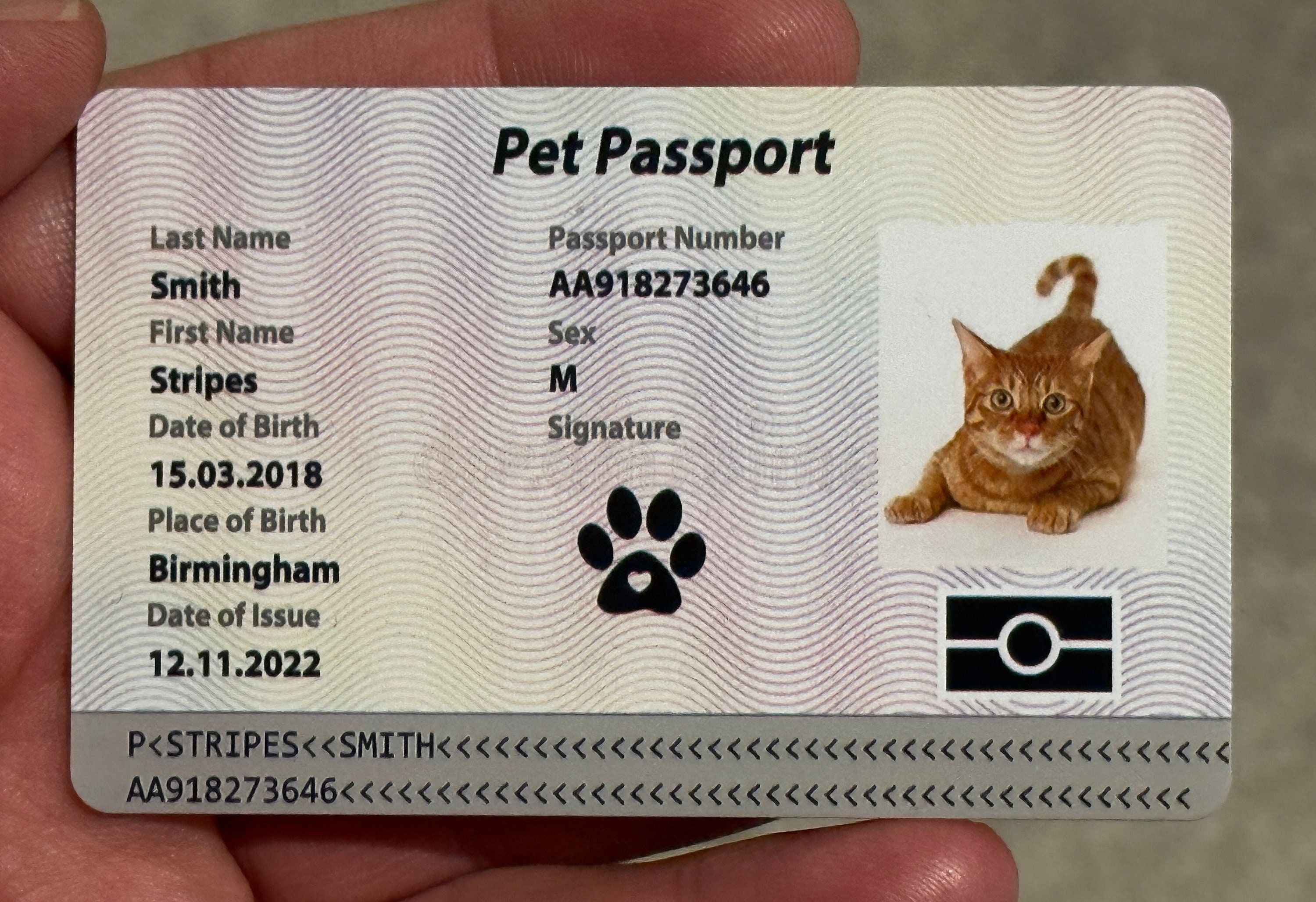 How To Get A Pet Passport For A Bulldog In Saudi Arabia