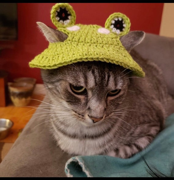 Frog Cat Hat Bucket Hat for Cats Frog 