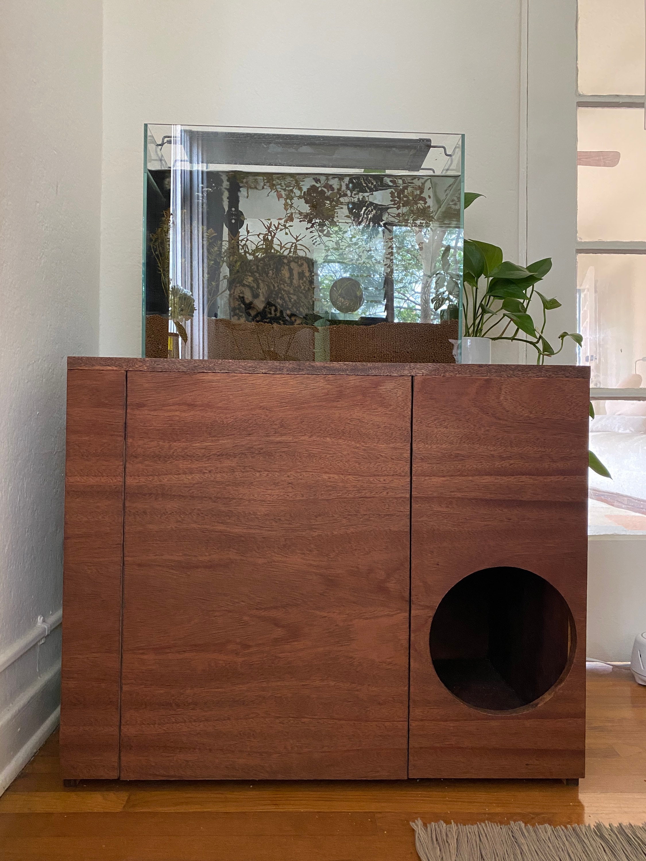 custom litter box