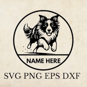 Bordercollie SVG, ornament SVG, lasergesneden bestand, hond sjabloon SVG, per tshirt ontwerp, dierlijke stencil, border collie muurkunst afdrukbare