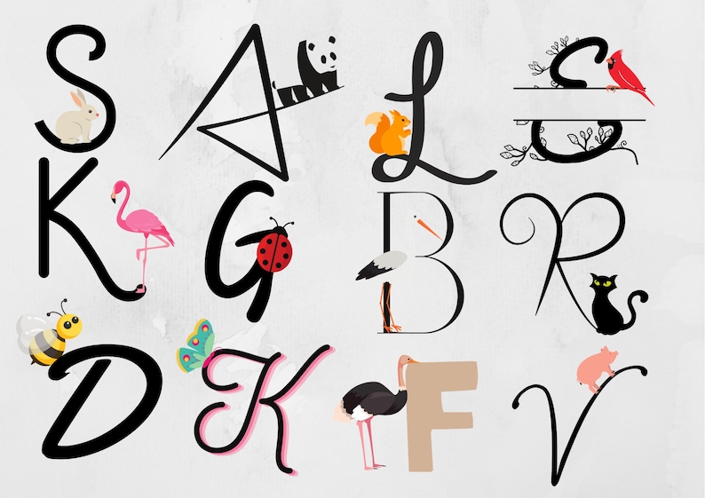 K&ouml;nnte beinhalten: Schwarz-wei&szlig;e Buchstaben des Alphabets mit verschiedenen Tierillustrationen. Die Buchstaben umfassen S, K, G, D, K, F, V, A, L, B, R und C. Die Tiere umfassen ein Kaninchen, einen Flamingo, einen Marienk&auml;fer, eine Biene, einen Schmetterling, einen Strau&szlig;, ein Schwein, einen Panda, ein Eichh&ouml;rnchen, einen Storch, eine Katze und einen Kardinal.