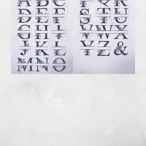May include: A floral alphabet with each letter decorated with purple flowers and a line through the middle. The letters are arranged in two columns, A-O on the left and P-Z and an ampersand on the right.
