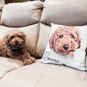 Custom Pet Pillow with Photo Custom Dog Pillow Pet Face Pillow Pet Portrait Gift Dog Lover Gift Pet Memorial Gift Pet Photo Pet Loss Gifts