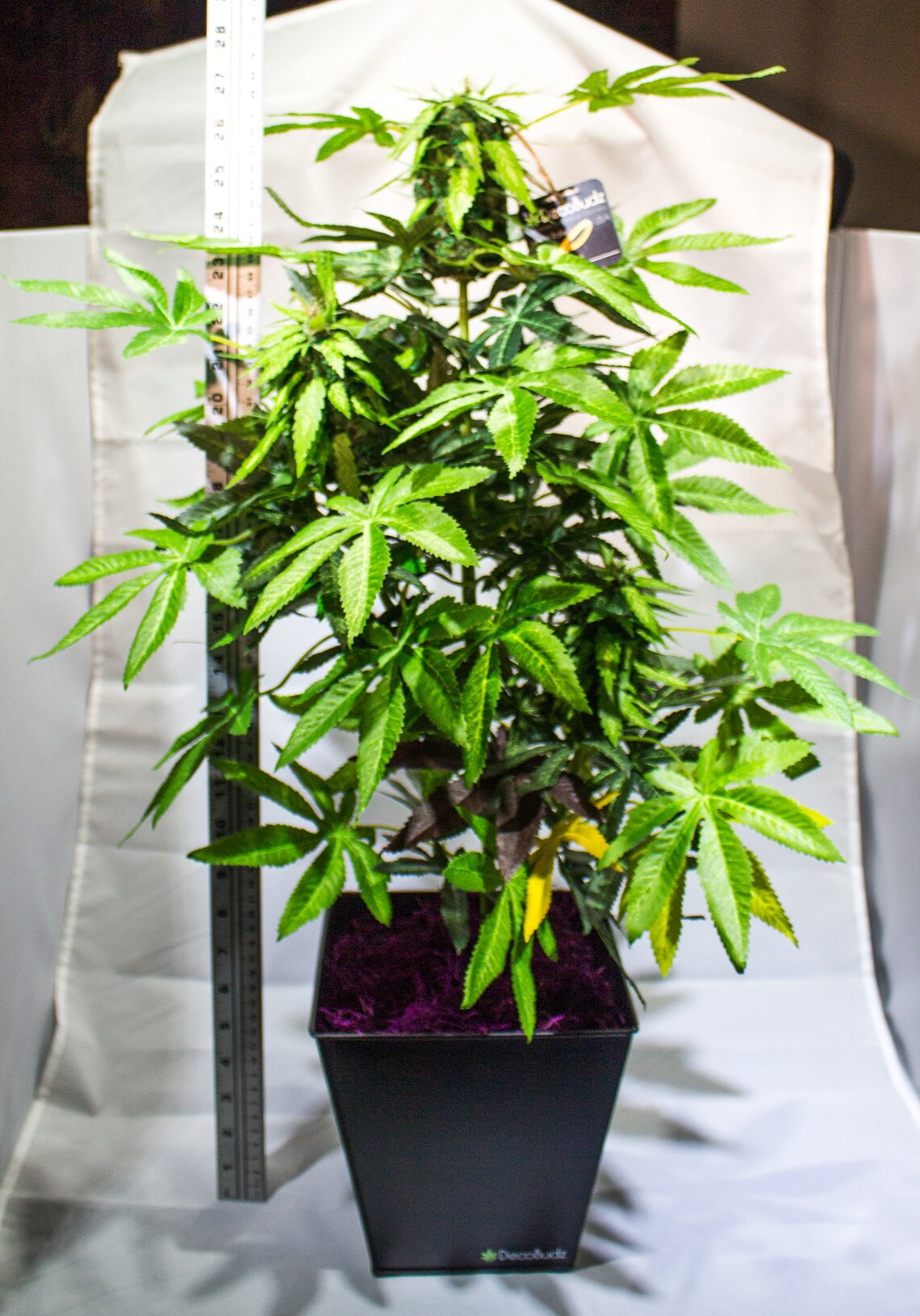DecoBudz Kush Artificial Marijuana Cannabis Hemp Plant 2528 Etsy