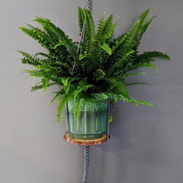 Hanging Plant Holder Etsy UK