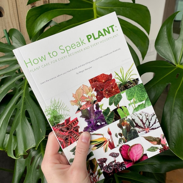 How to Speak PLANT: plant care for every beginner and every houseplant.