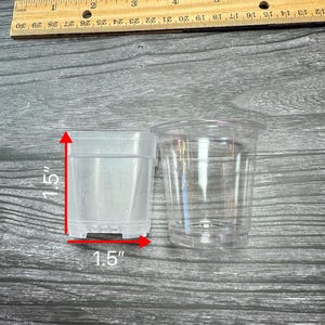 May include: Two clear plastic pots, one square and one round, each measuring 1.5 inches (3.8 cm) in height and width. A wooden ruler with inch markings is in the background, indicating the size of the pots.