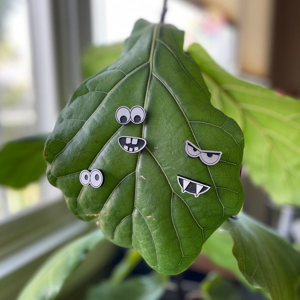 Plant Googly Eyes and Faces | Magnet Eyes and Mouth | Leaves | Plant Expressions | Magnets | Plant Pins