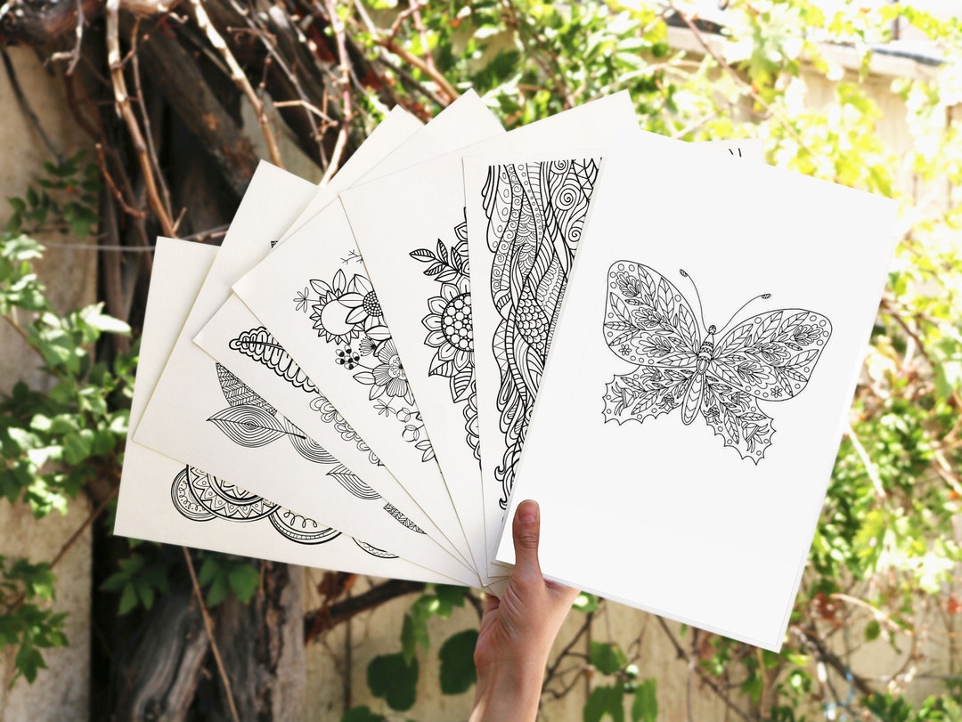 Butterfly Coloring Pages - Zentangle Adult Coloring Books - Etsy
