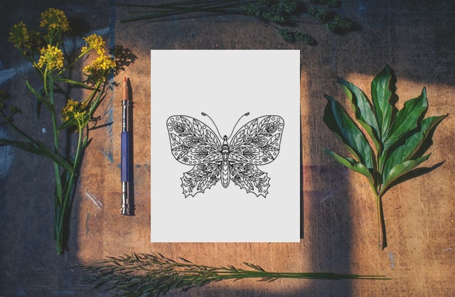 Butterfly Coloring Pages - Zentangle Adult Coloring Books - Etsy
