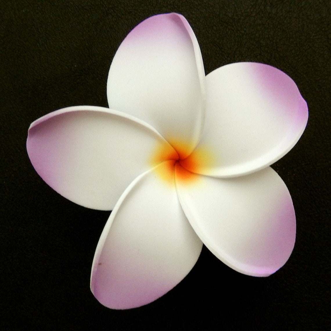 Plumeria foam hair clip Purple Etsy