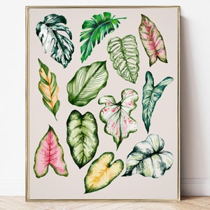 printable plant lover wall art | exotic indoor plants wall decor | botanical decor | houseplant poster | digital download | wall art print