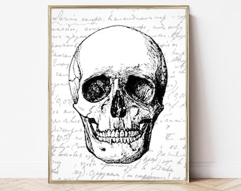 halloween skull printable | halloween decor | halloween art printable | digital art | digital download | skull anatomy printable
