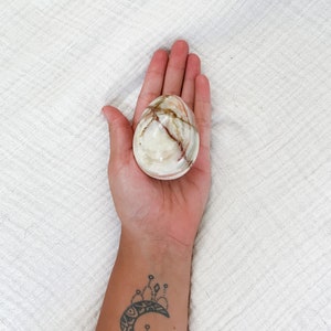 Stunning Agate Egg (Stand Included)