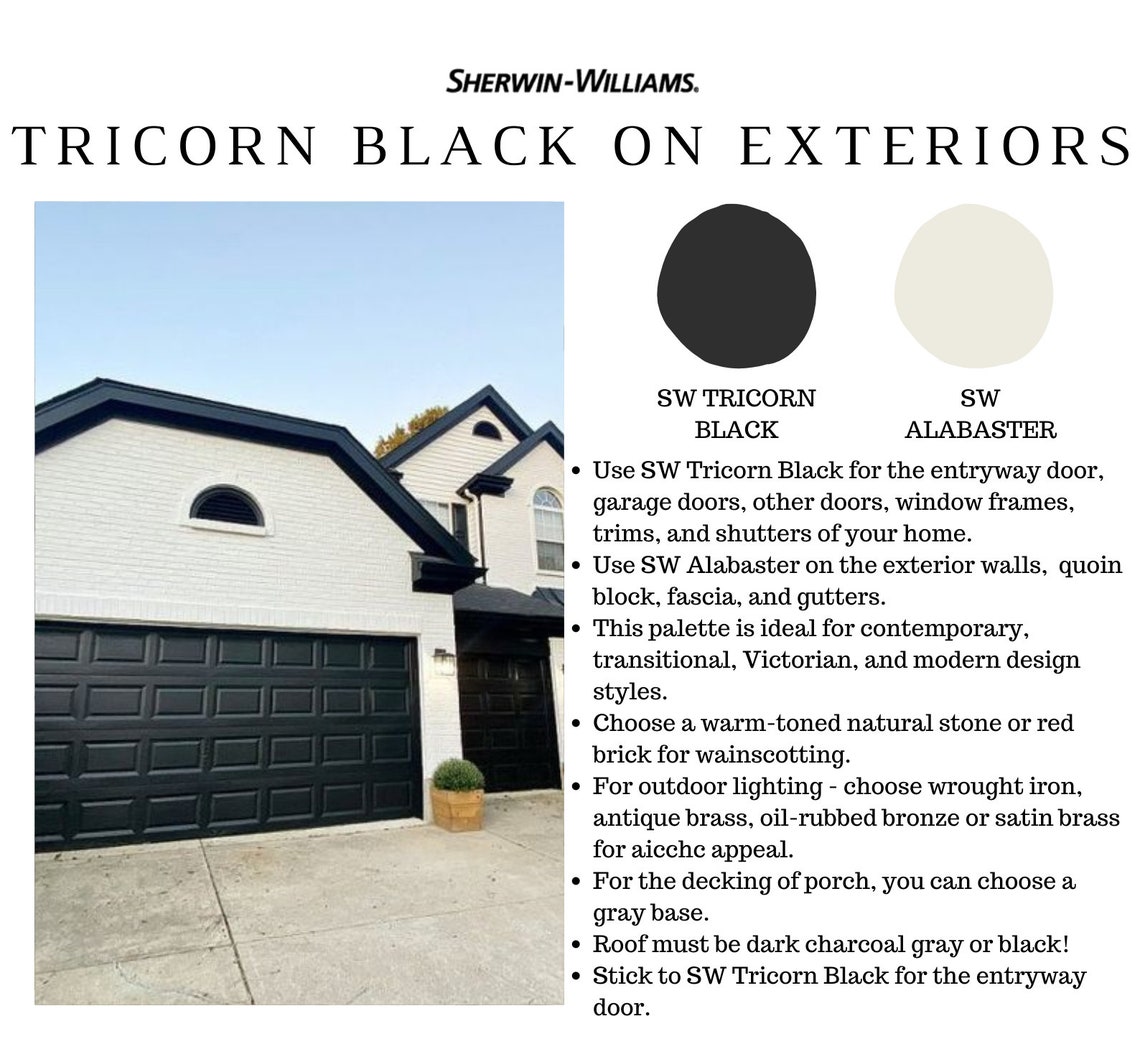 Sherwin Williams TRICORN BLACK Paint Color Palette Studio Etsy