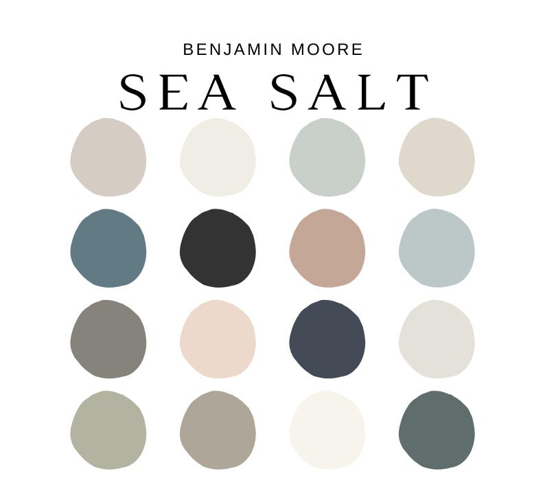Benjamin Moore SEA SALT Color Palette, Modern Color Scheme, Sea Salt ...