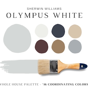 May include: A paint color palette from Sherwin Williams, featuring the color "Olympus White" and 16 coordinating colors. A paintbrush with a wooden handle and blue accent is shown with a swatch of the paint color.