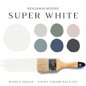 Benjamin Moore SUPER WHITE Color Palettes, Modern Color Scheme, Super White Coordinating Colors for Whole House, Best Whites, Coastal Colors