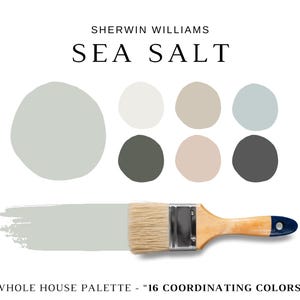 Puede incluir: Una paleta de colores de pintura con el color "Sea Salt" de Sherwin Williams. La imagen muestra un pincel con una pincelada del color, junto con una serie de muestras de color en varios tonos. El texto dice "Whole House Palette - 16 Coordinating Colors."
