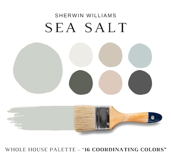 Sherwin Williams SEA SALT Coordinating Color, Coastal Beach House Color Palette, Bestselling Paint Color, Coastal Palette For Whole House