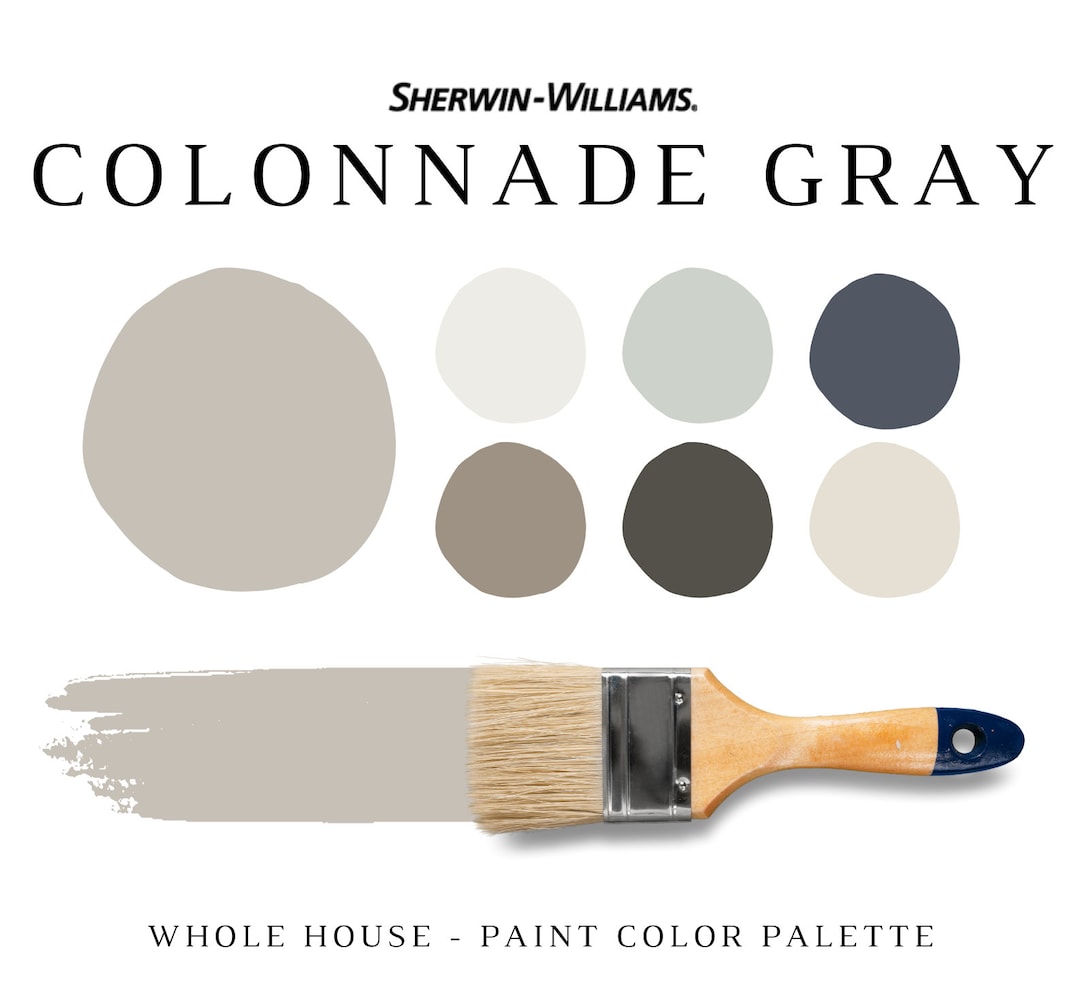 Sherwin Williams COLONNADE GRAY Color Palette 2023 Top Color Etsy UK