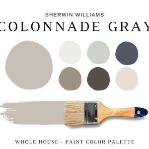 Sherwin Williams COLONNADE GRAY Color Palette, 2023 Top Color, Sherwin Williams GREIGE, Modern Home Color, Modern Farmhouse, Warm Gray Color image 1