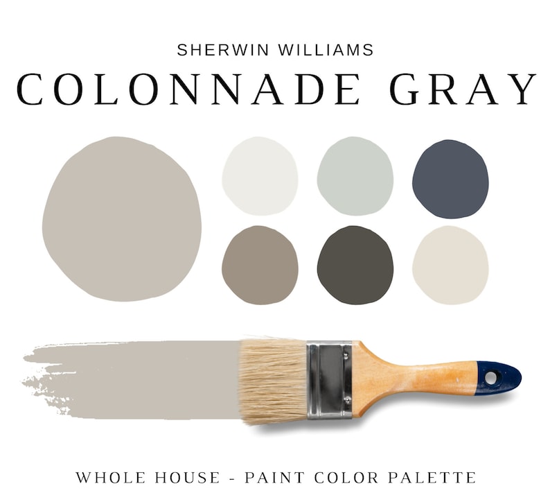 Sherwin Williams COLONNADE GRAY Color Palette, 2023 Top Color, Sherwin Williams GREIGE, Modern Home Color, Modern Farmhouse, Warm Gray Color image 1