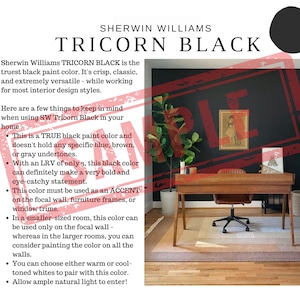 Sherwin Williams COLONNADE GRAY Color Palette, 2023 Top Color, Sherwin Williams GREIGE, Modern Home Color, Modern Farmhouse, Warm Gray Color image 8