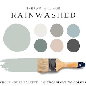 Puede incluir: Paleta de pintura "Rainwashed" de Sherwin Williams, con una muestra de color y un pincel. La paleta incluye seis muestras de color y una muestra grande del color principal. El texto dice "Whole House Palette - 16 Coordinating Colors."