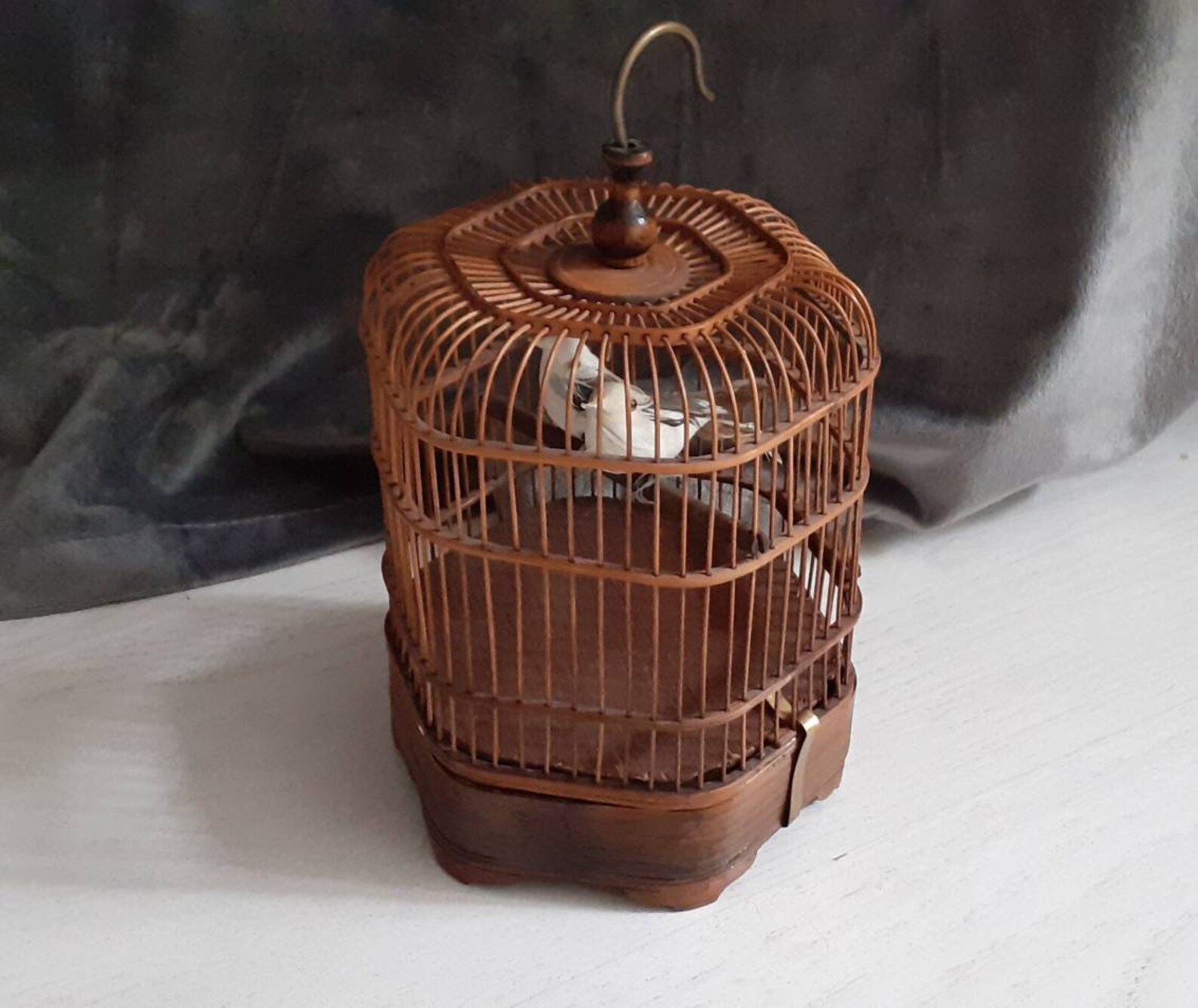Vintage real bird cage music box to repair Etsy