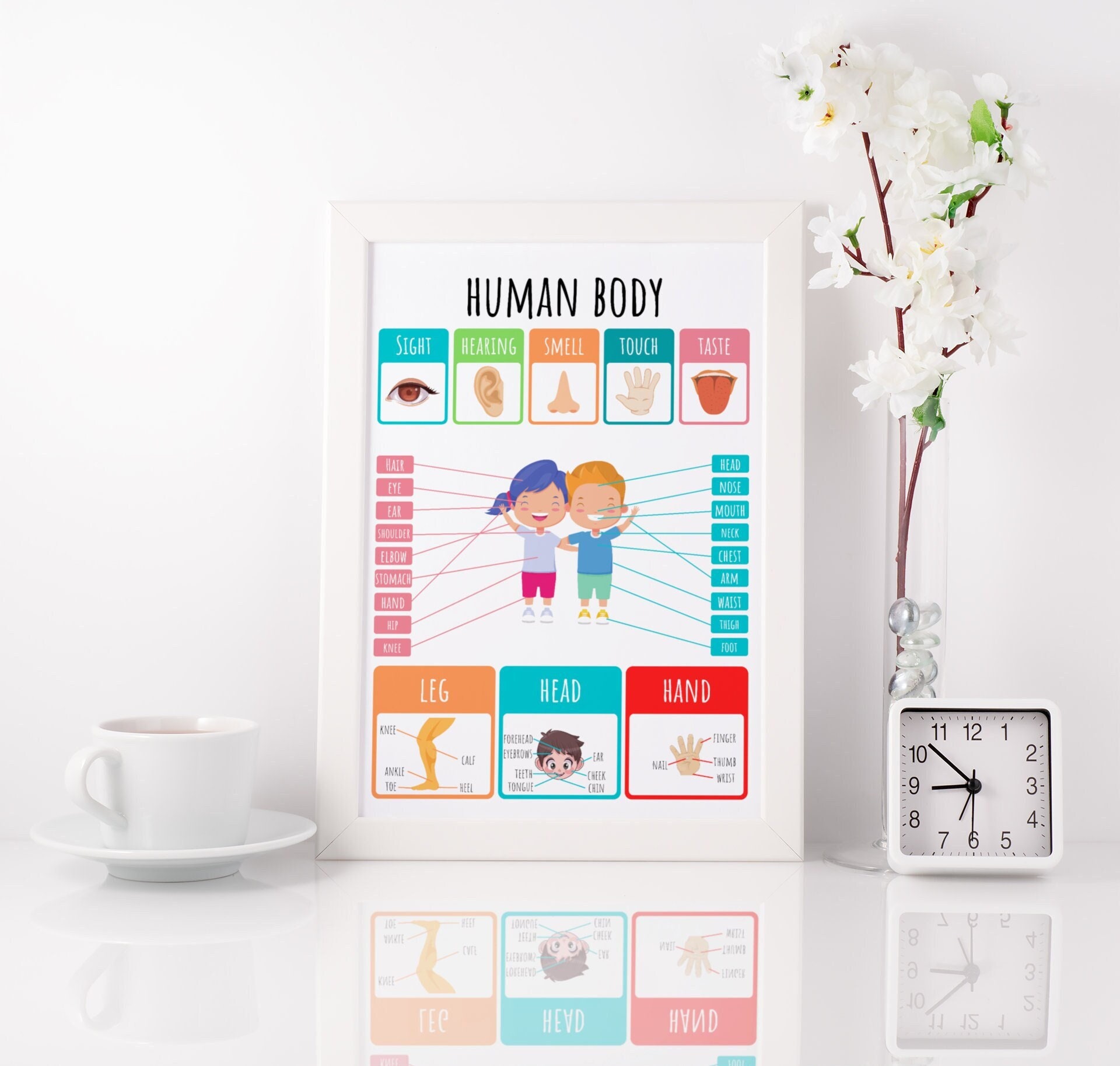 Human Body Poster INSTANT DOWNLOAD Educational Prints Nursery Print ... Biology Diagrams