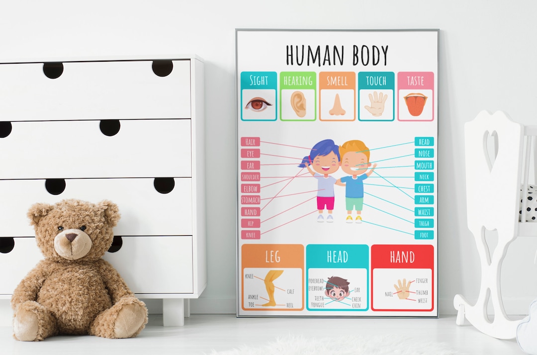 Human Body Poster INSTANT DOWNLOAD Educational Prints Nursery Print ... Biology Diagrams