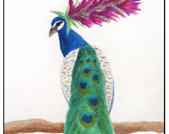 5 Peacock Watercolor Bird Notecards