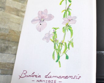 Barleria damarensis - NAMIBIE - Botanical design, original creation, plant, acrylic painting on canvas format 18x24x2