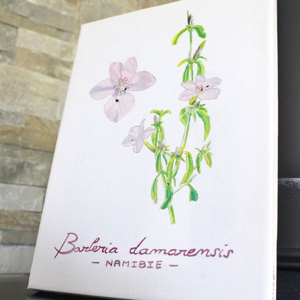 Barleria damarensis - NAMIBIE - Dessin botanique, création originale, plante, peinture acrylique sur toile format 18x24x2